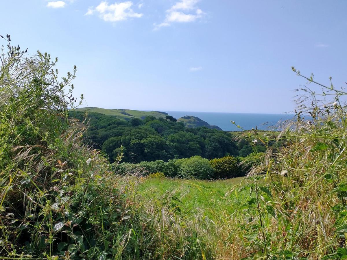 The Mill Villa Tintagel Eksteriør billede